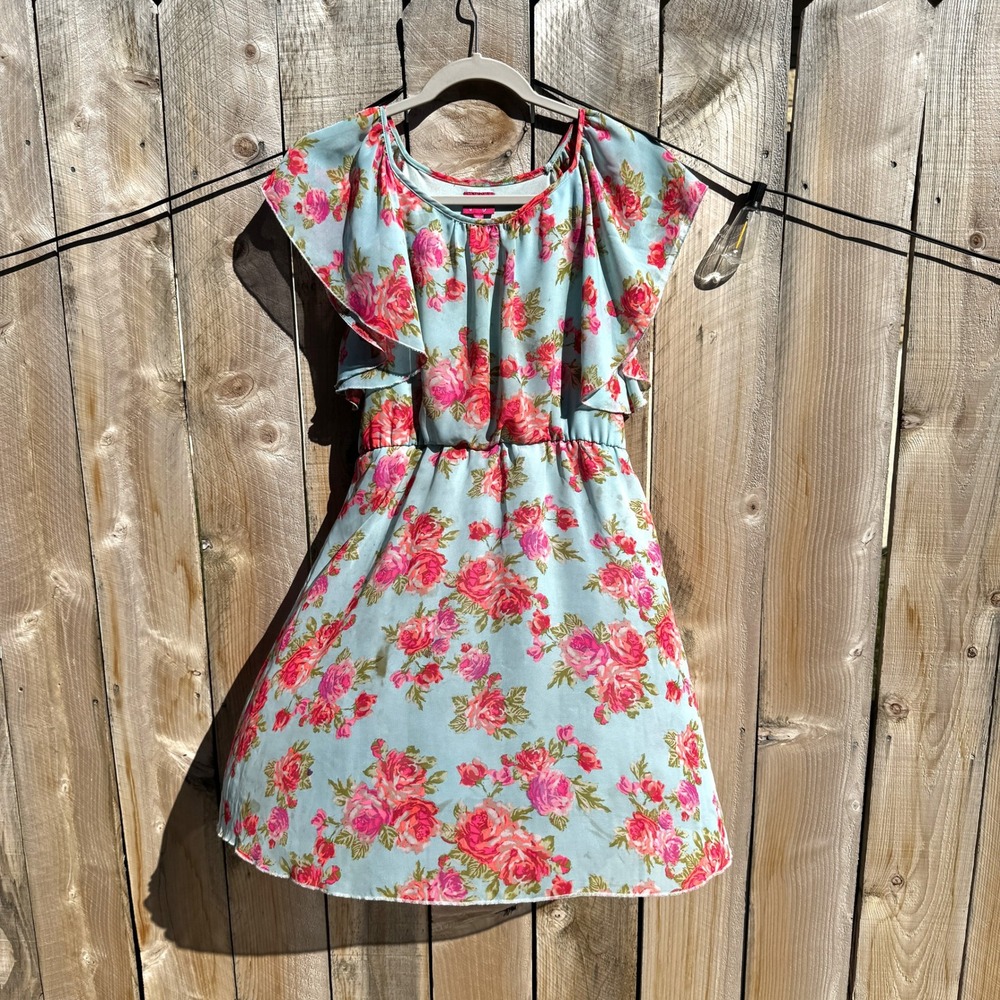 Pinky Floral Print Dress Ruffle Sleeves Light Blue Girls XL (16) Kids